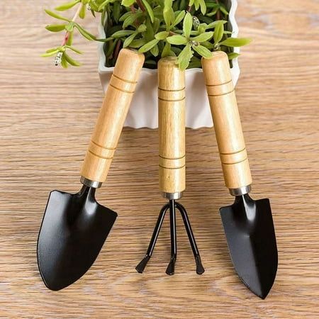 HOME & GARDEN